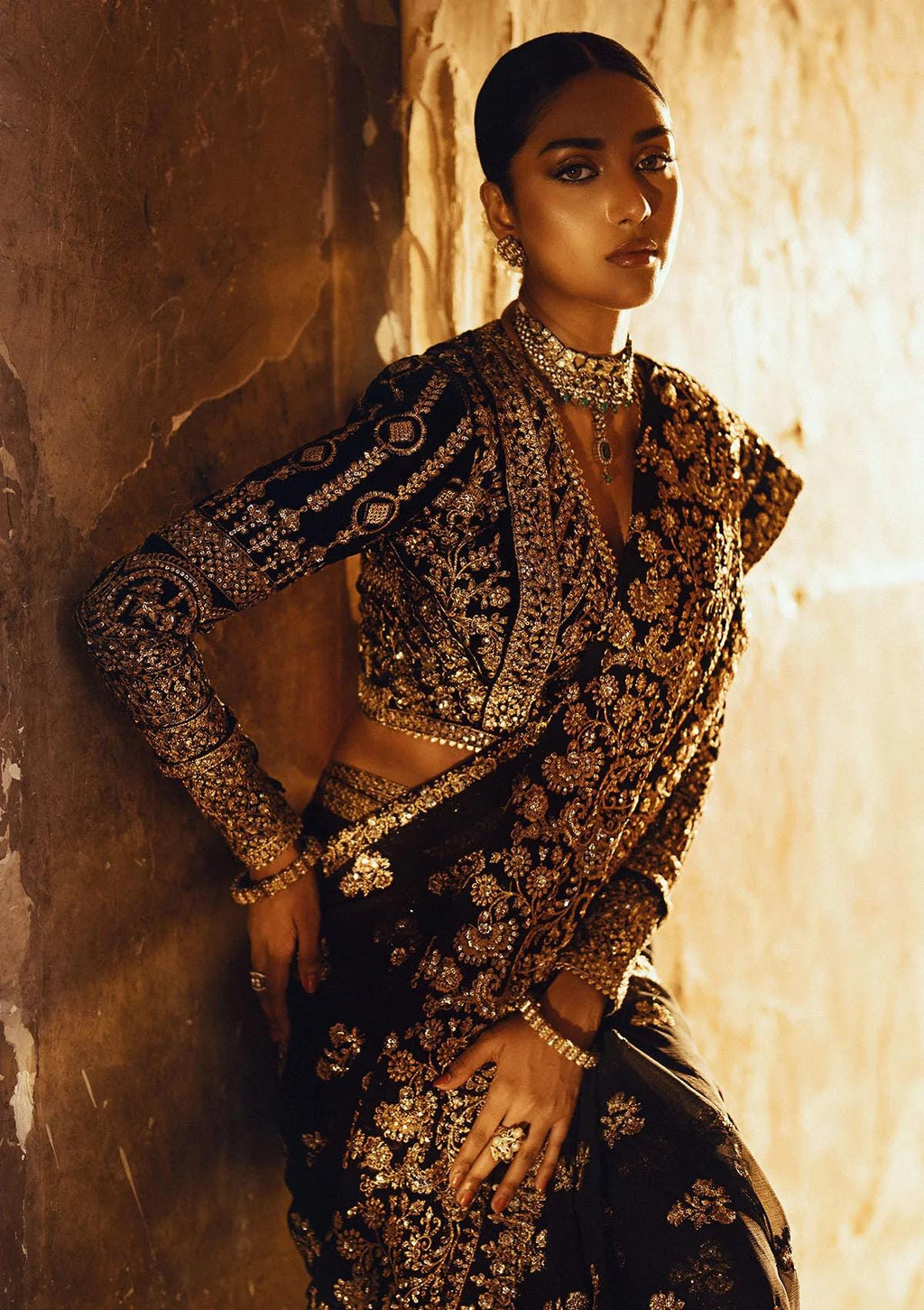 Black Velvet Saree, Gold Embroidered Chiffon, Indian Designer Sari