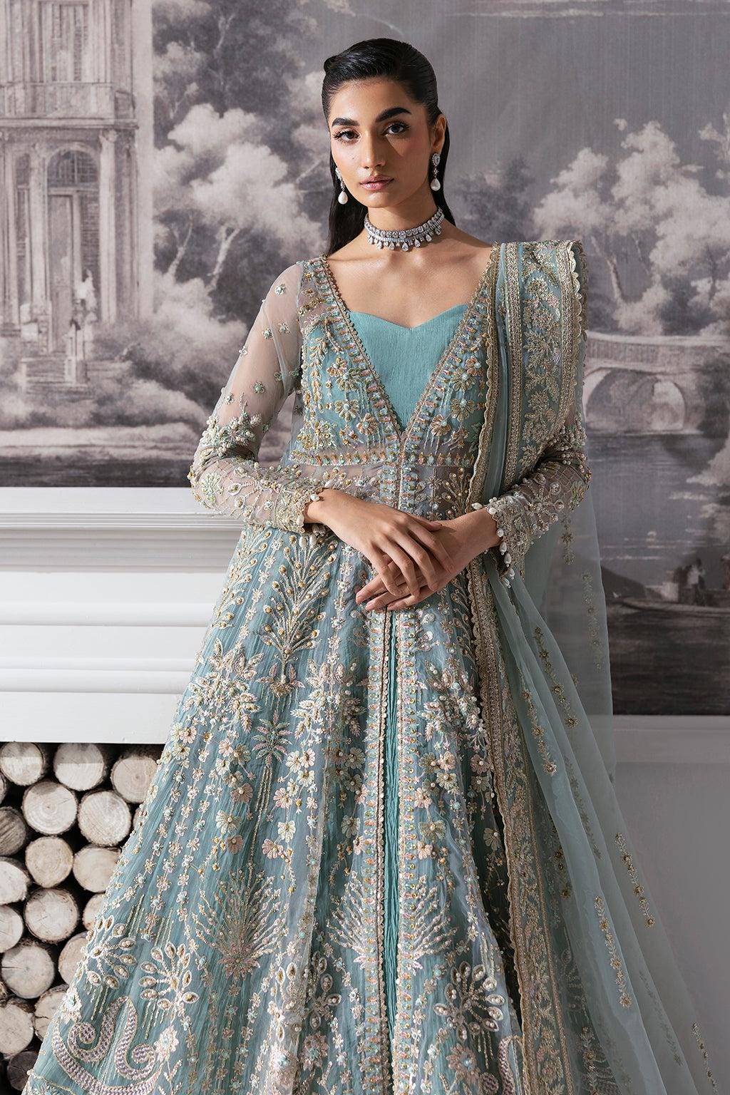 Sky Blue Velour Pakistani Wedding Dress: Embroidered Net Maxi Suit
