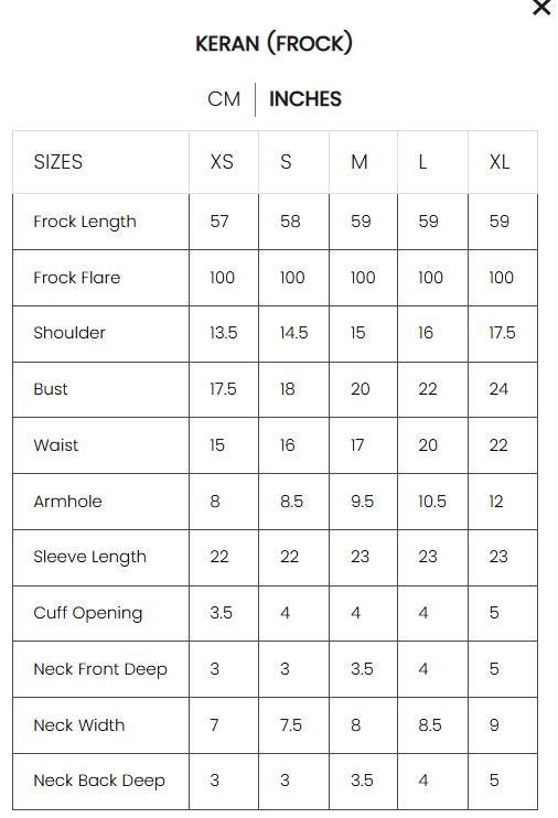 Royal Mehndi Pakistani Maxi Dress: Embroidered Net Wedding Outfit