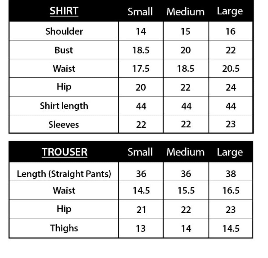 Blush Pink Embroidered Organza Pakistani Dress, Indian Wedding Guest Wear