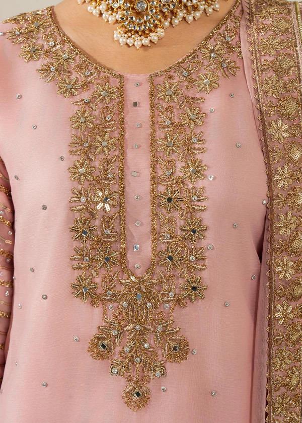 Blush Pink Kamdani Punjabi Suit: 3-Piece Chiffon Pakistani Wedding Outfit