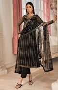 Embroidered Net Shirt & Raw Silk Trouser: Indian Formal Dress