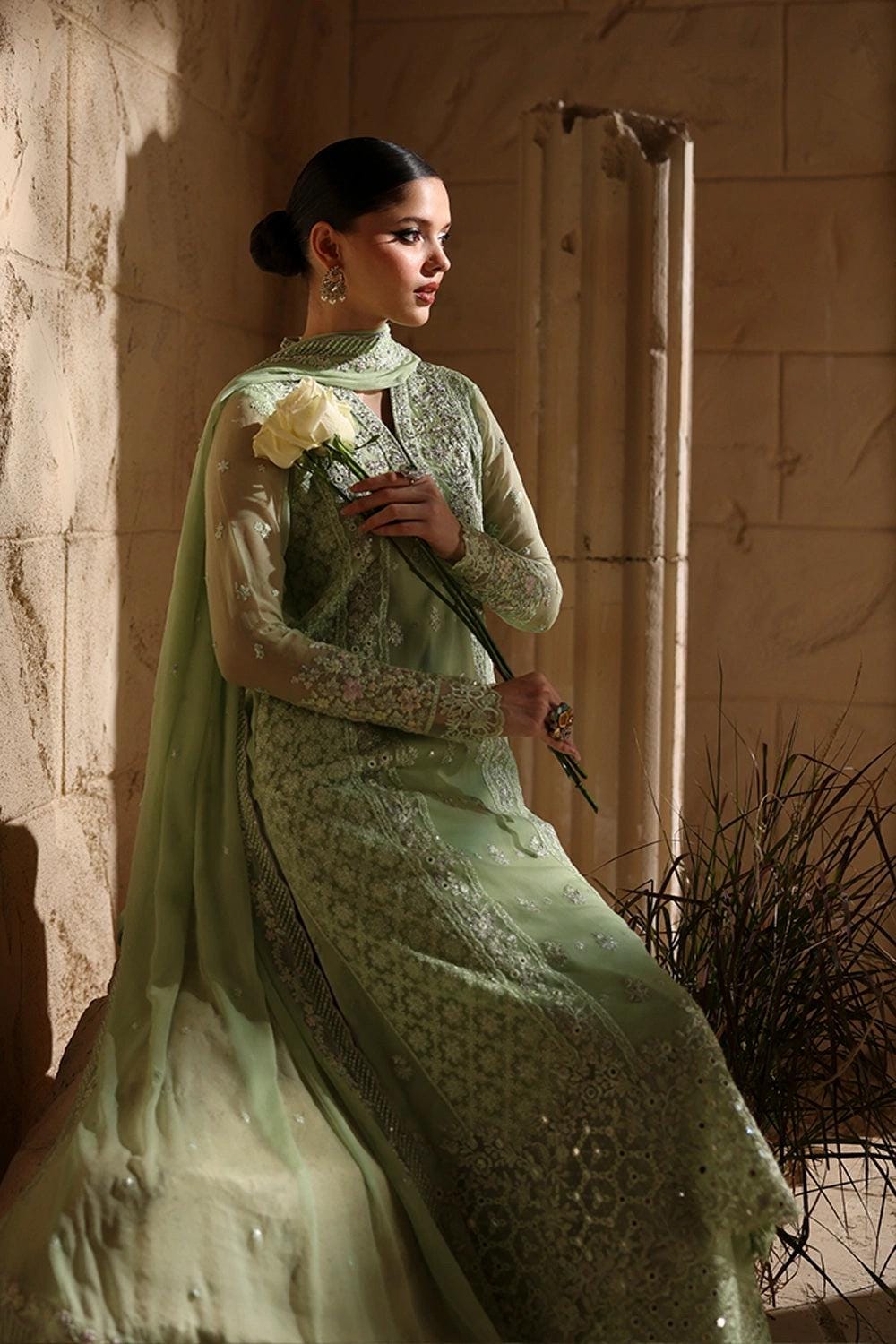 light green Chiffon Pakistani Bridal Suit: Embroidered Net Dress