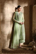 light green Chiffon Pakistani Bridal Suit: Embroidered Net Dress