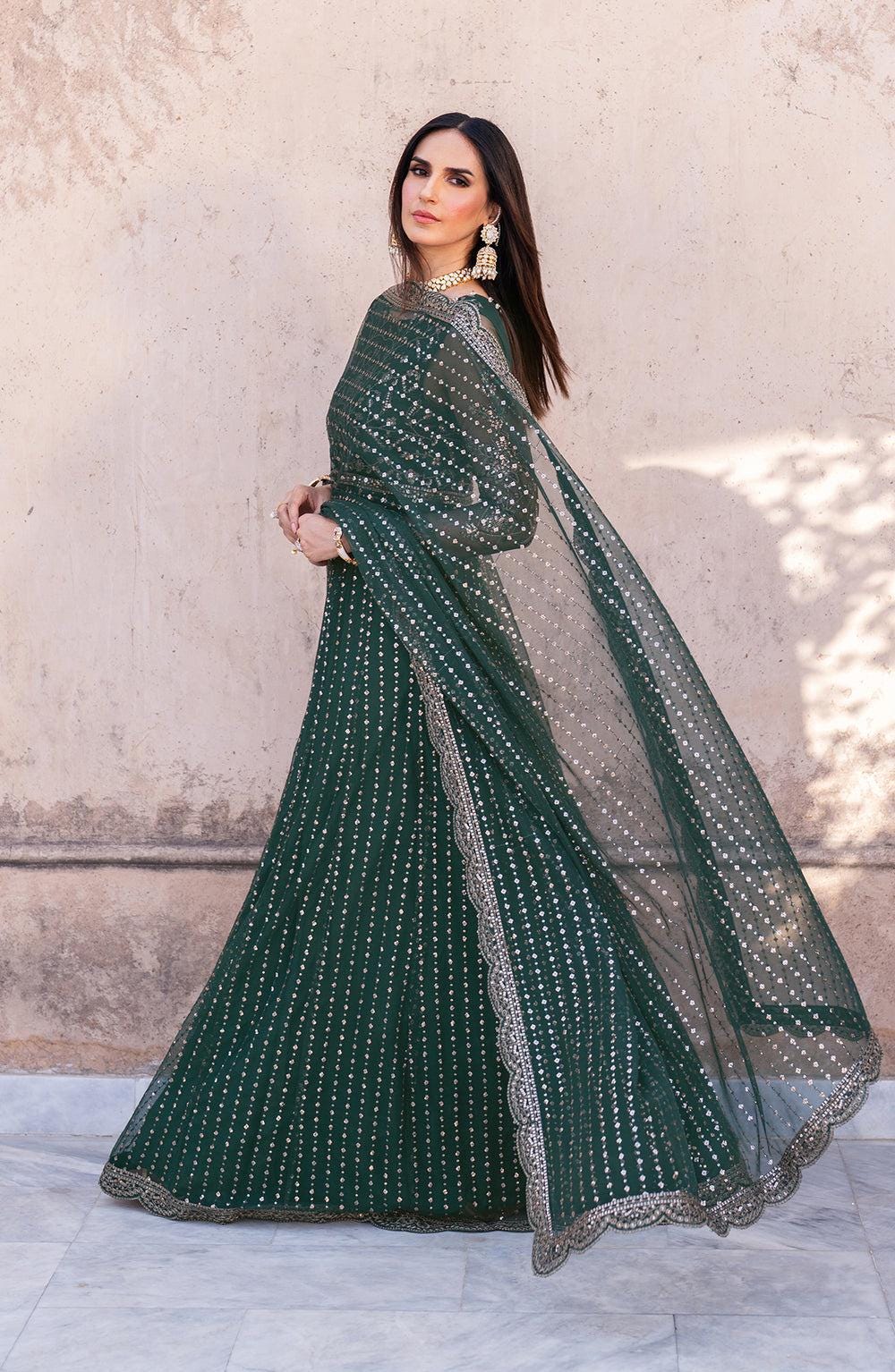 Royal Mehndi Pakistani Maxi Dress: Embroidered Net Wedding Outfit
