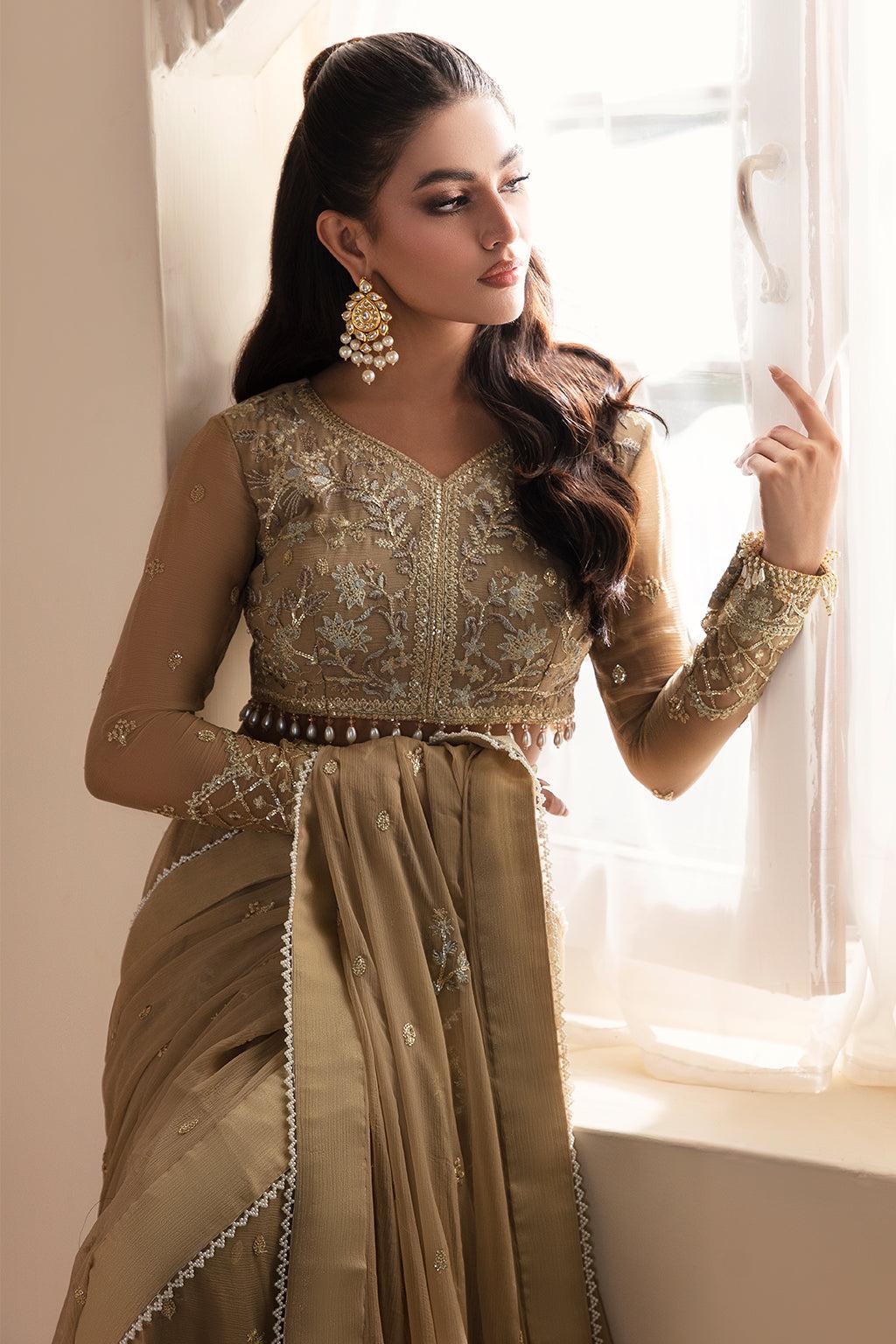 Beige Chiffon embrioded Saree, Sequins work Embroidered,Hand Embroidery Saree