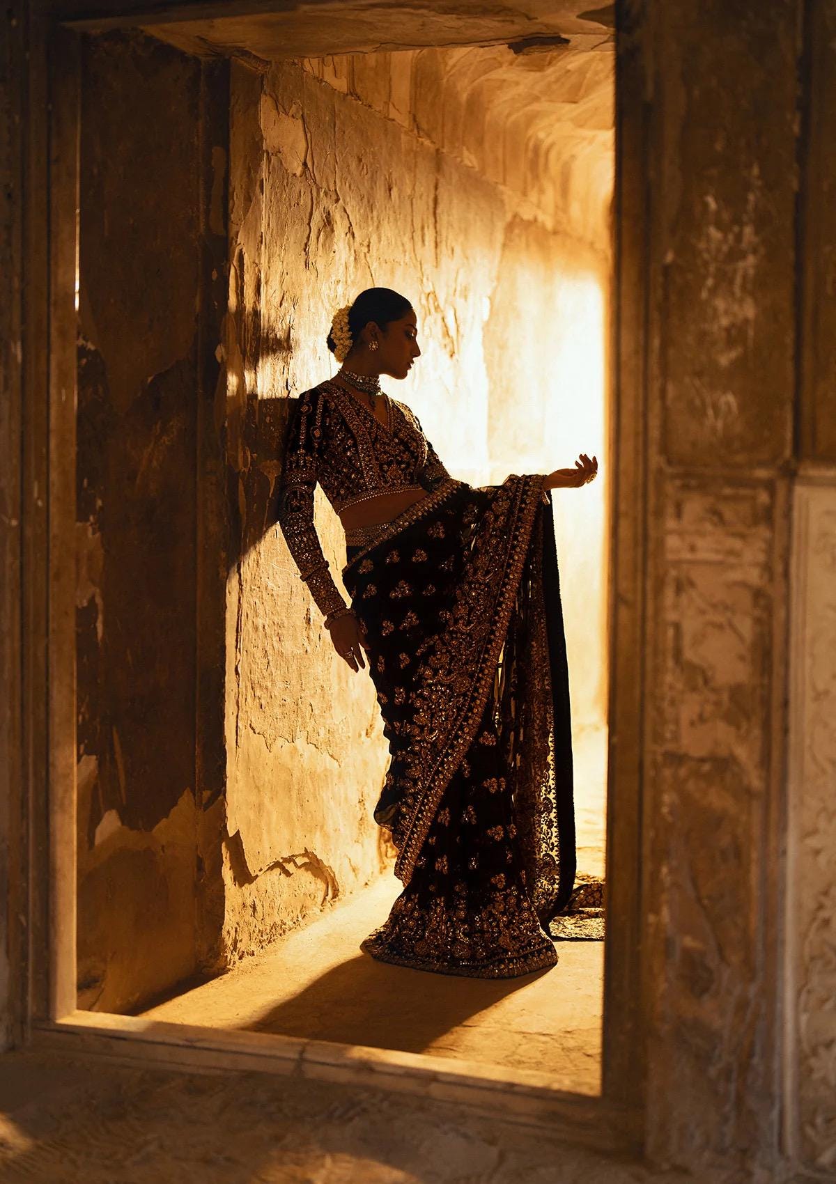 Black Velvet Saree, Gold Embroidered Chiffon, Indian Designer Sari