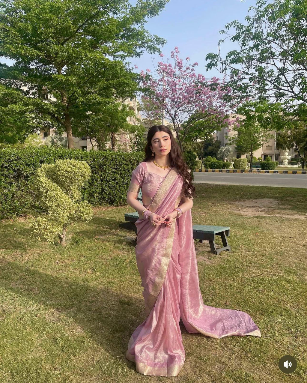 Gul lilac pinkish saree, banarsi saree  with zari borders