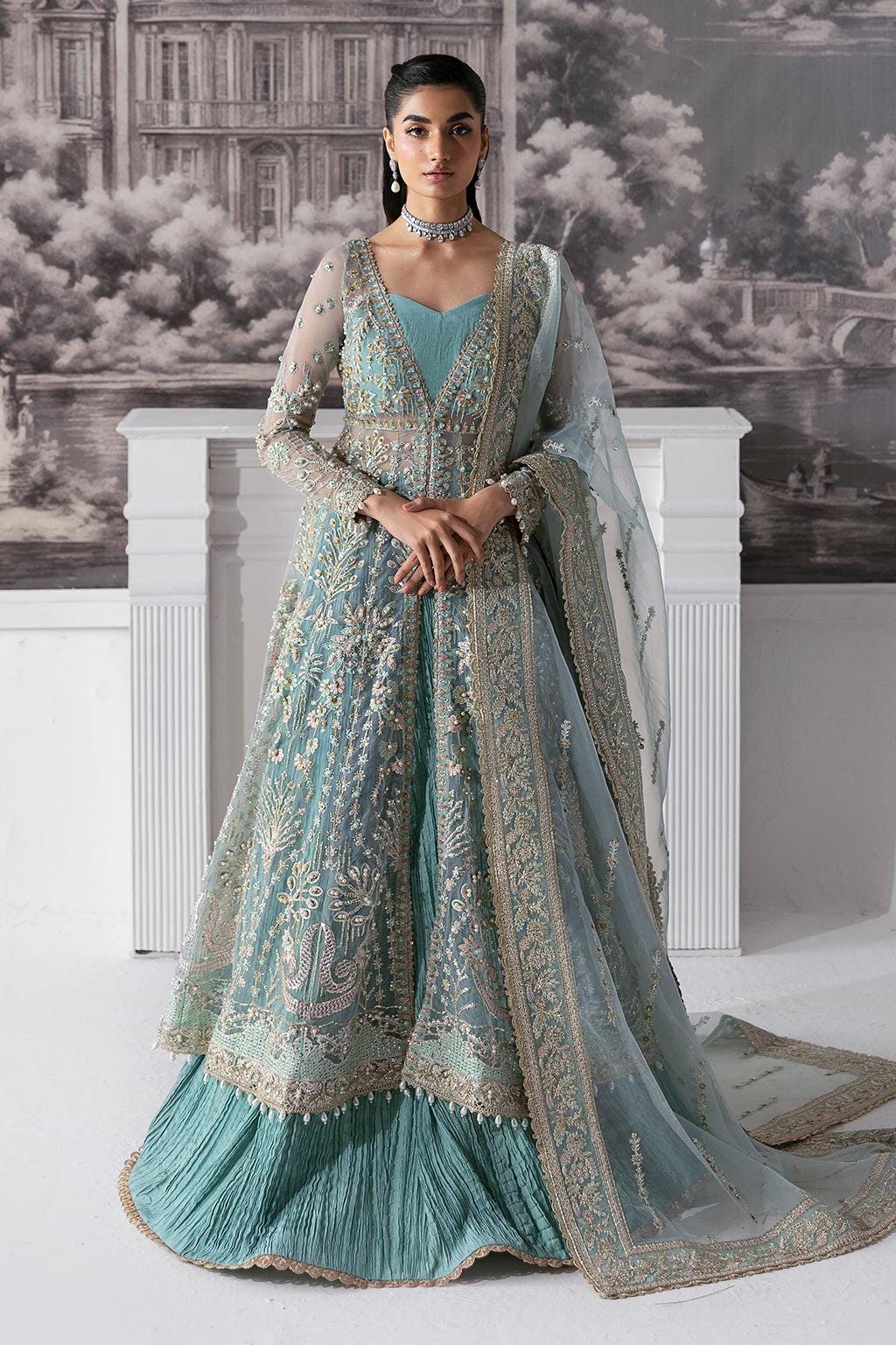 Sky Blue Velour Pakistani Wedding Dress: Embroidered Net Maxi Suit
