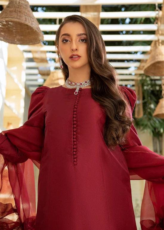 Handmade Silk Kurta Pant Set: Red Indian Dress with Organza Dupatta