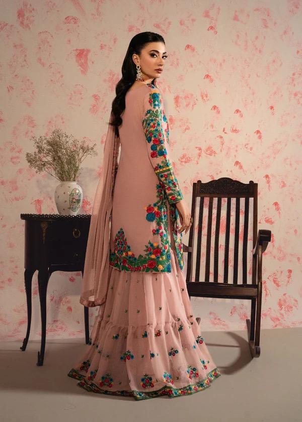 Embroidered Chiffon Kurti Gharara, Blush Pink Kashmiri Dress, Eid Outfit