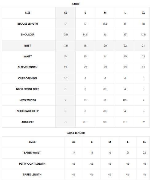 Sequined Embroidered Net Saree | Pakistani Gown, Eid & Diwali