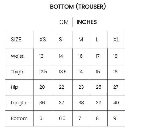 Royal Mehndi Pakistani Maxi Dress: Embroidered Net Wedding Outfit