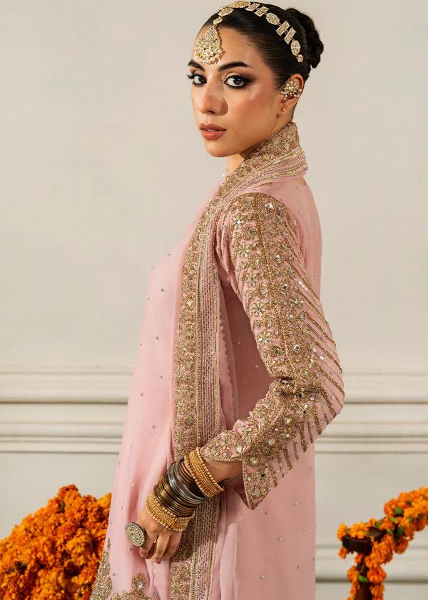 Blush Pink Kamdani Punjabi Suit: 3-Piece Chiffon Pakistani Wedding Outfit