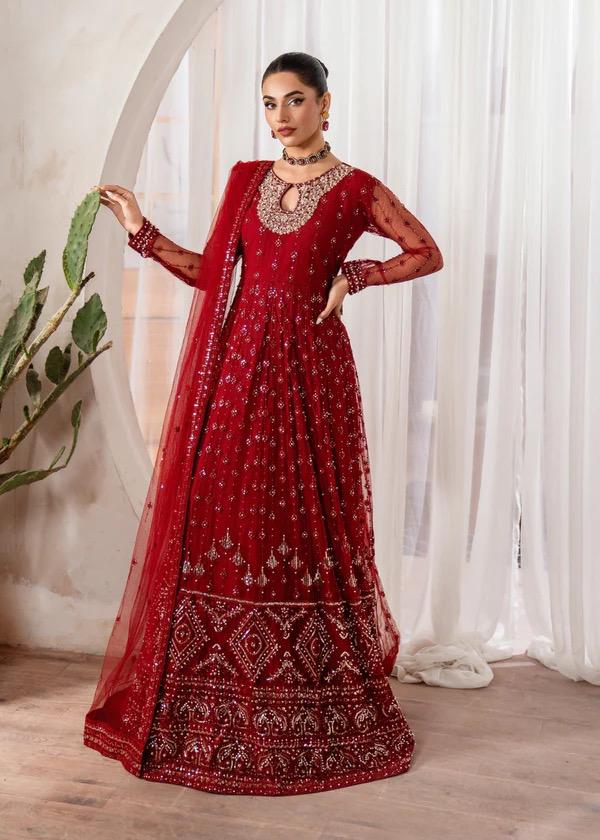 Maroon Embroidered Net Maxi Dress | Pakistani Gown, Formal Wear