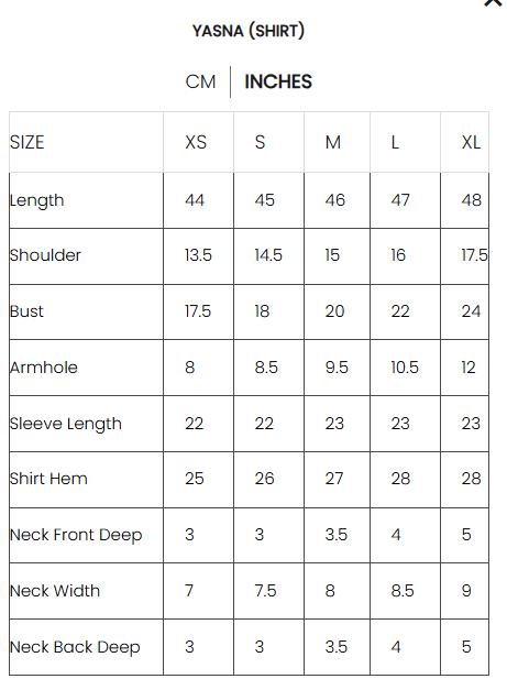 Embroidered Net Shirt & Raw Silk Trouser: Indian Formal Dress