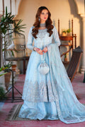 Embroidered Net Frock, Sky Blue Pakistani Maxi Dress, Lengha India