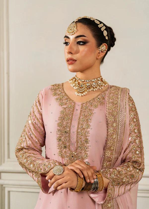 Blush Pink Kamdani Punjabi Suit: 3-Piece Chiffon Pakistani Wedding Outfit
